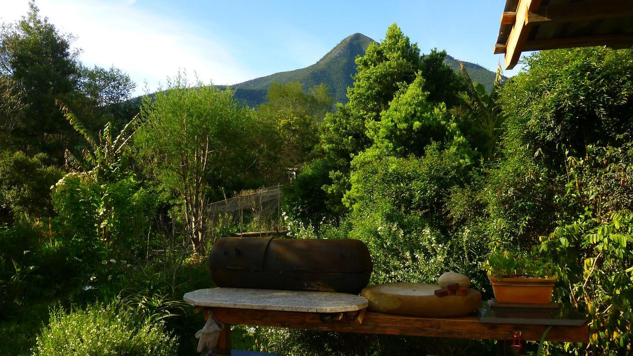 Boutique Vintage Forest Cabin 斯托姆勒菲 外观 照片