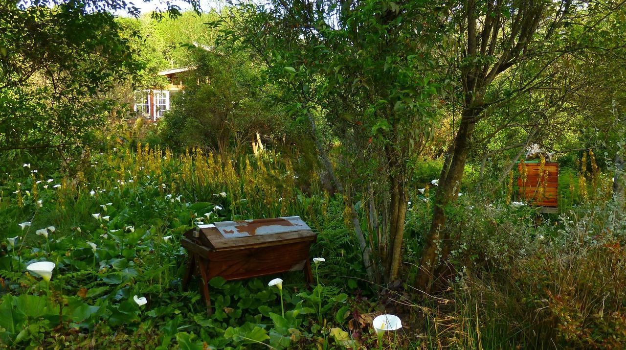 Boutique Vintage Forest Cabin 斯托姆勒菲 外观 照片