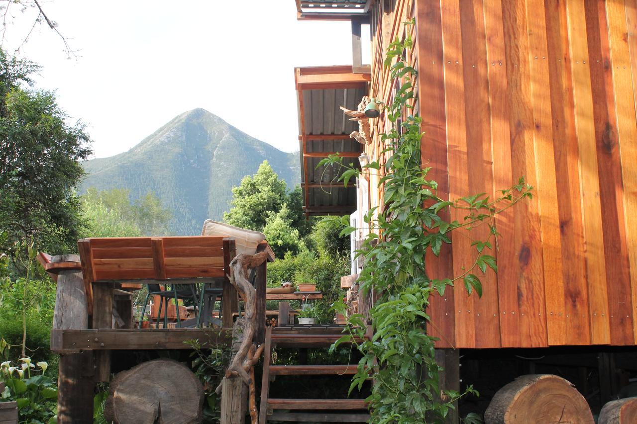 Boutique Vintage Forest Cabin 斯托姆勒菲 外观 照片
